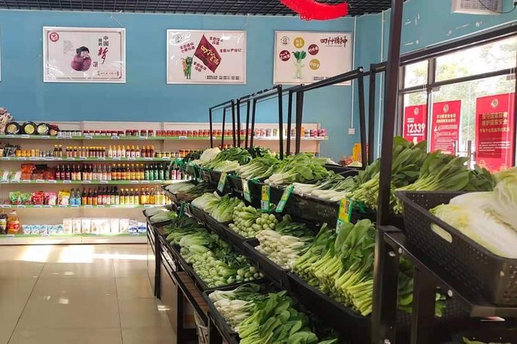 海口市平价蔬菜零售保险试点工作正式启动