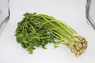 兔兔生鲜 新鲜蔬菜 新鲜水芹 野生水芹菜 野山芹 特色蔬菜 500克