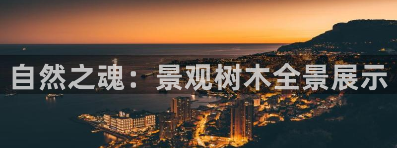 行新宝gg