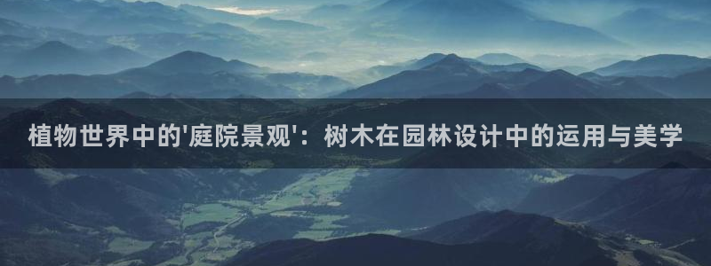 新宝gg龙腾