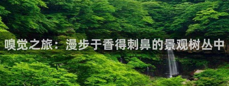 新宝gg最新章节