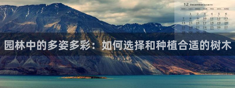 新宝gg 金苹果