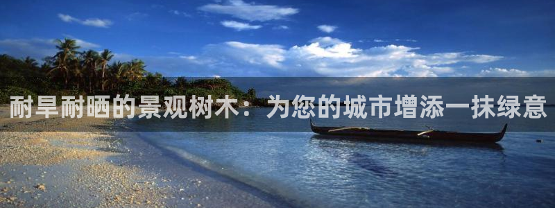 www.新宝gg