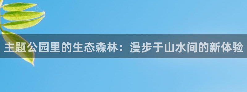新宝gg分红