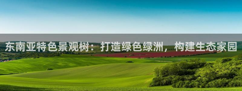 新宝GG专业团队