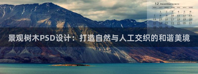 新宝GG冰冰