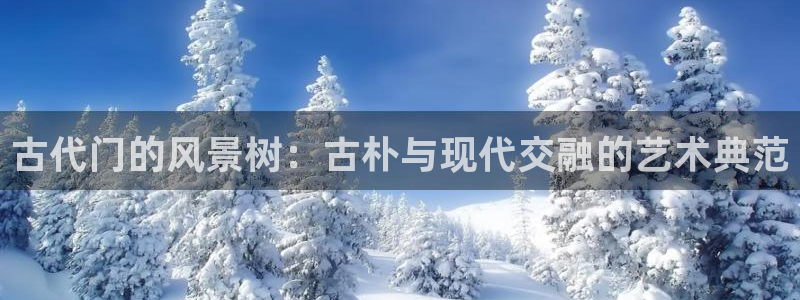 新宝gg 首页