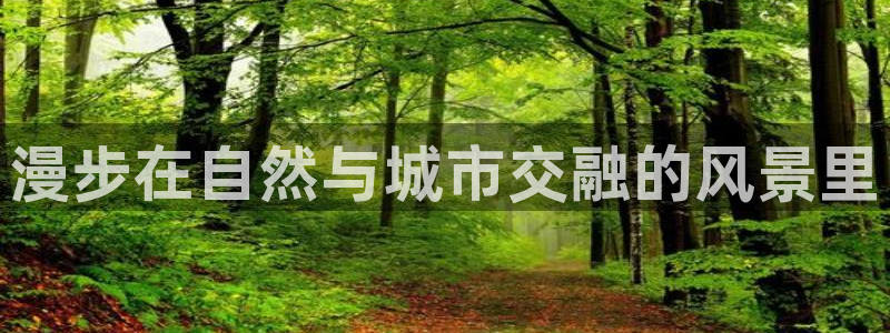 广东新宝电器gg