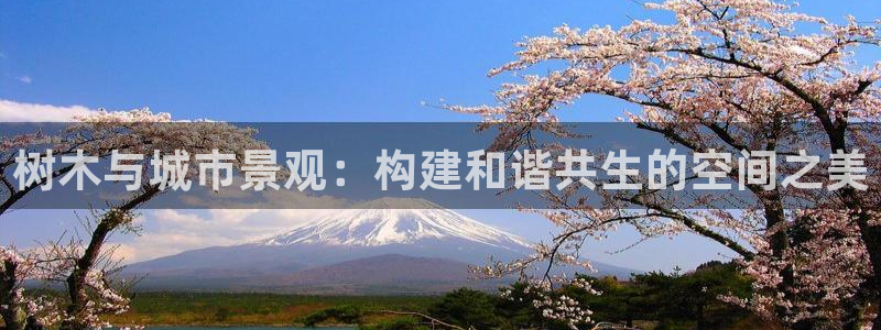 新宝gg登陆新