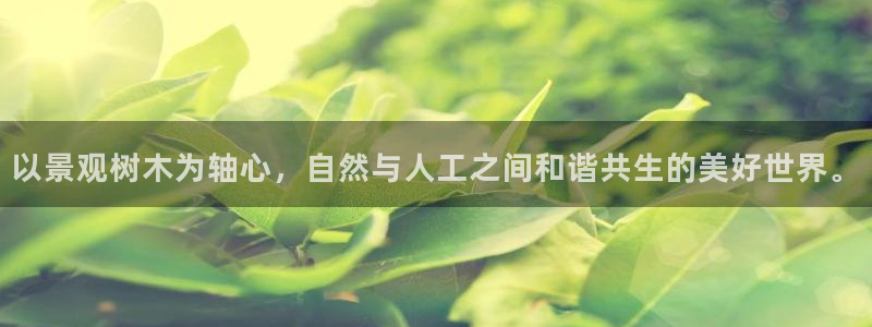 vip新宝gg