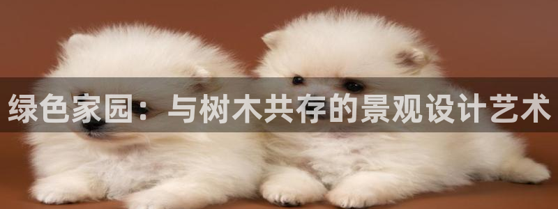 新宝gg龙虎规则
