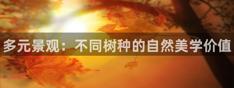 新宝gg开号