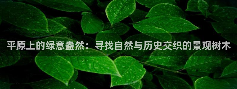 新宝gg会员