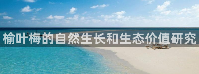 广东新宝电器gg