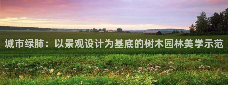 新宝 gg 下载