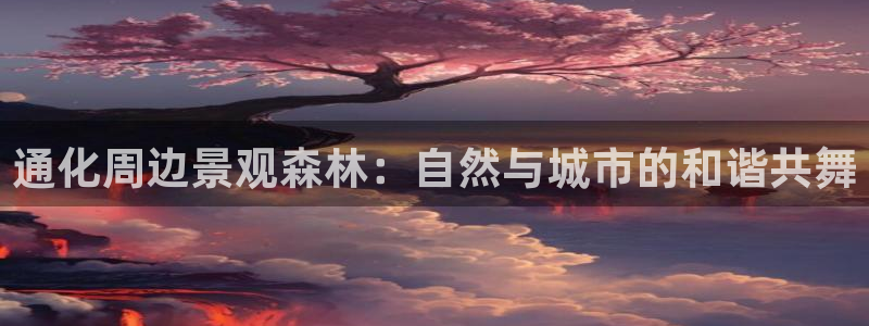 网站是新宝gg