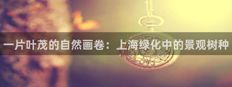 新宝GG无法充值