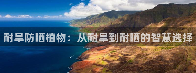 新宝gg提点