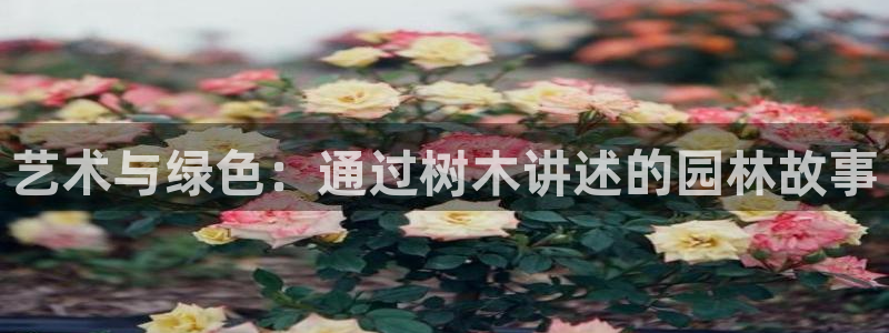 新宝gg群