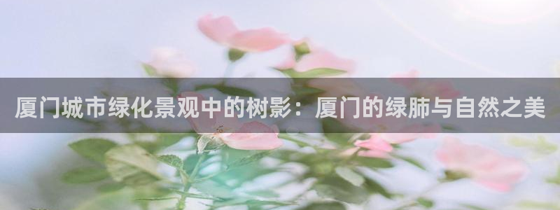 新宝gg招商致胜团队