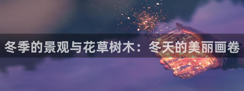 新宝GG管理