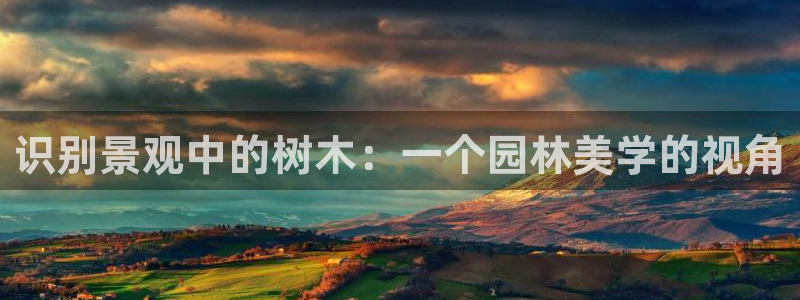 新宝gg网