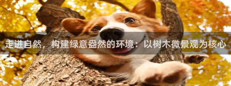 新宝gg怎么开户