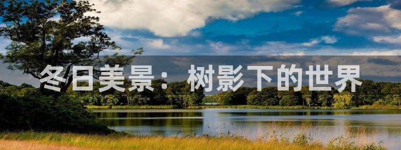 新宝 gg登录