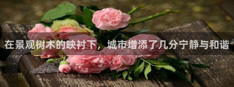 新宝gg漏洞