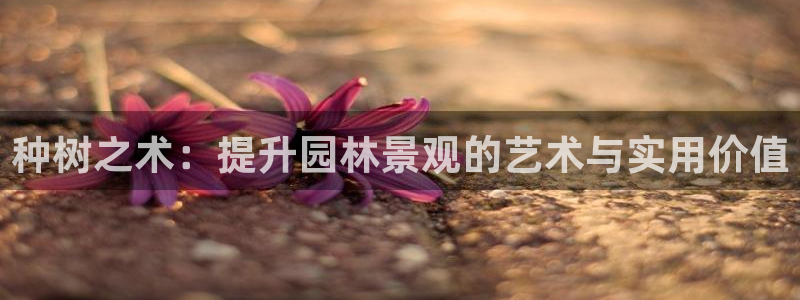 娱乐世界新宝gg