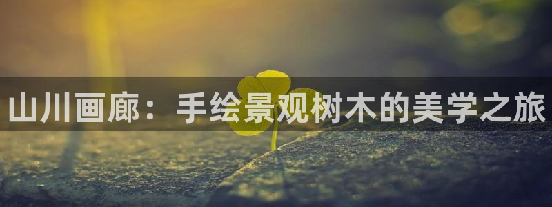 新宝gg游戏登录