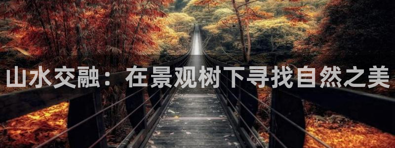 新宝GG苹果版