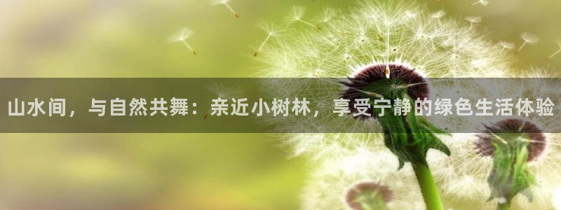 下载新宝gg