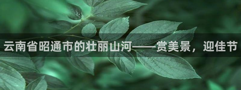 新宝GG创造奇