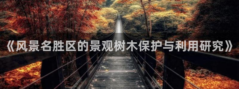 新宝gg有假吗