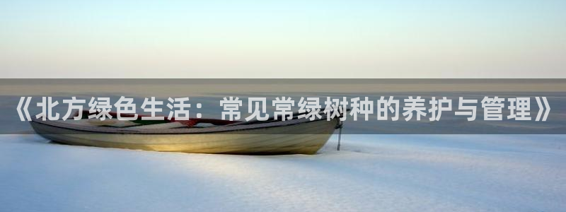 新宝gg找回账号