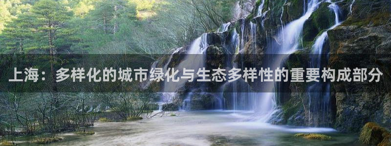 新宝GG股东