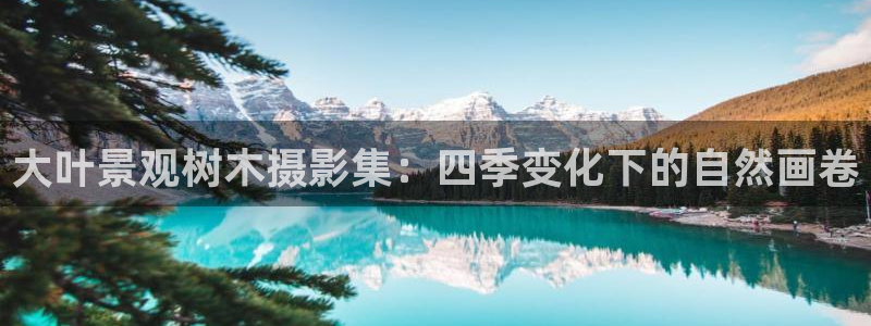 新宝gg样