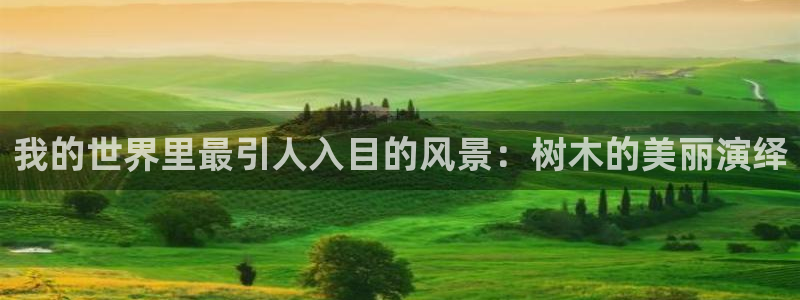 新宝GG类别78778