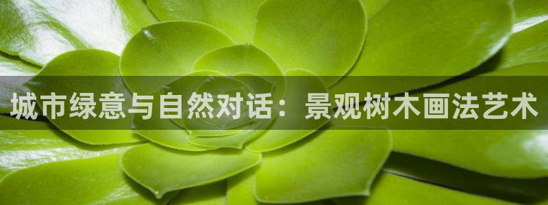 新宝GG创造奇