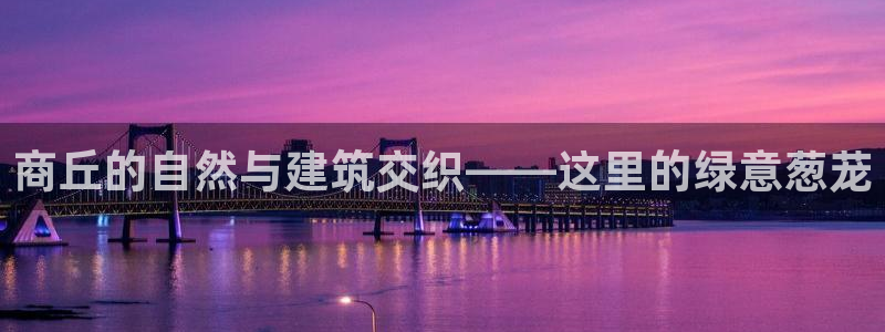 新宝gg总管