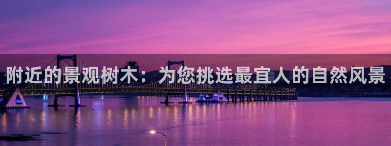 新宝gg博彩