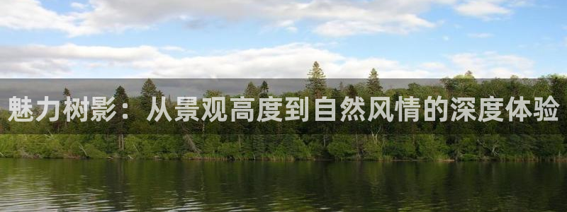 新宝gg8：魅力树影：从景观高度到自然风情的深度体验