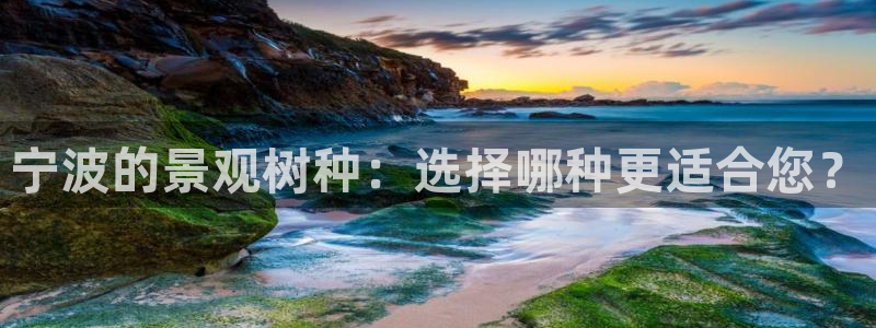 新宝gg娱乐主管q42873