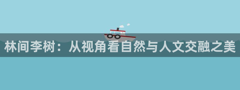 新宝gg什么