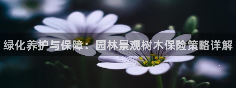 新宝GG槐78778：绿化养护与保障：园林景观树木保险策略详解
