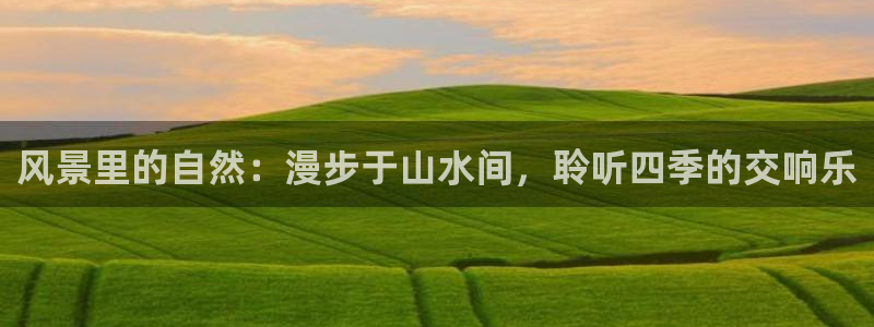 新宝gg 502