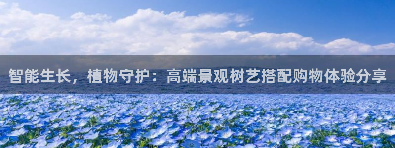 新宝gg奇迹