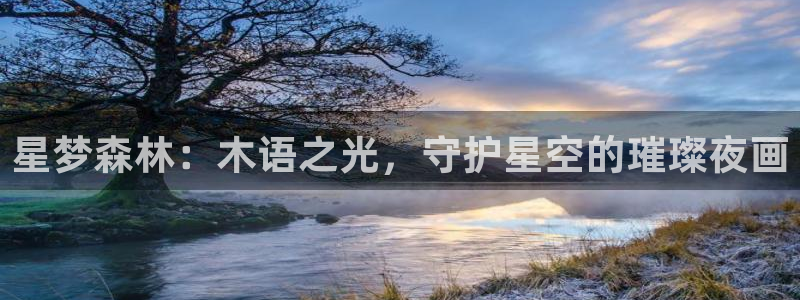 xbgg新宝gg：星梦森林：木语之光，守护星空的璀璨夜画