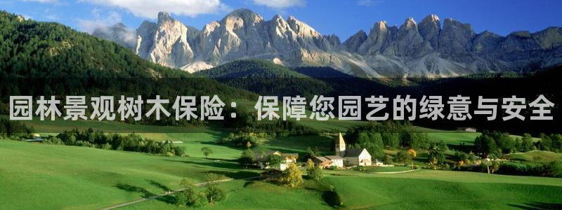 新宝gg在哪开户